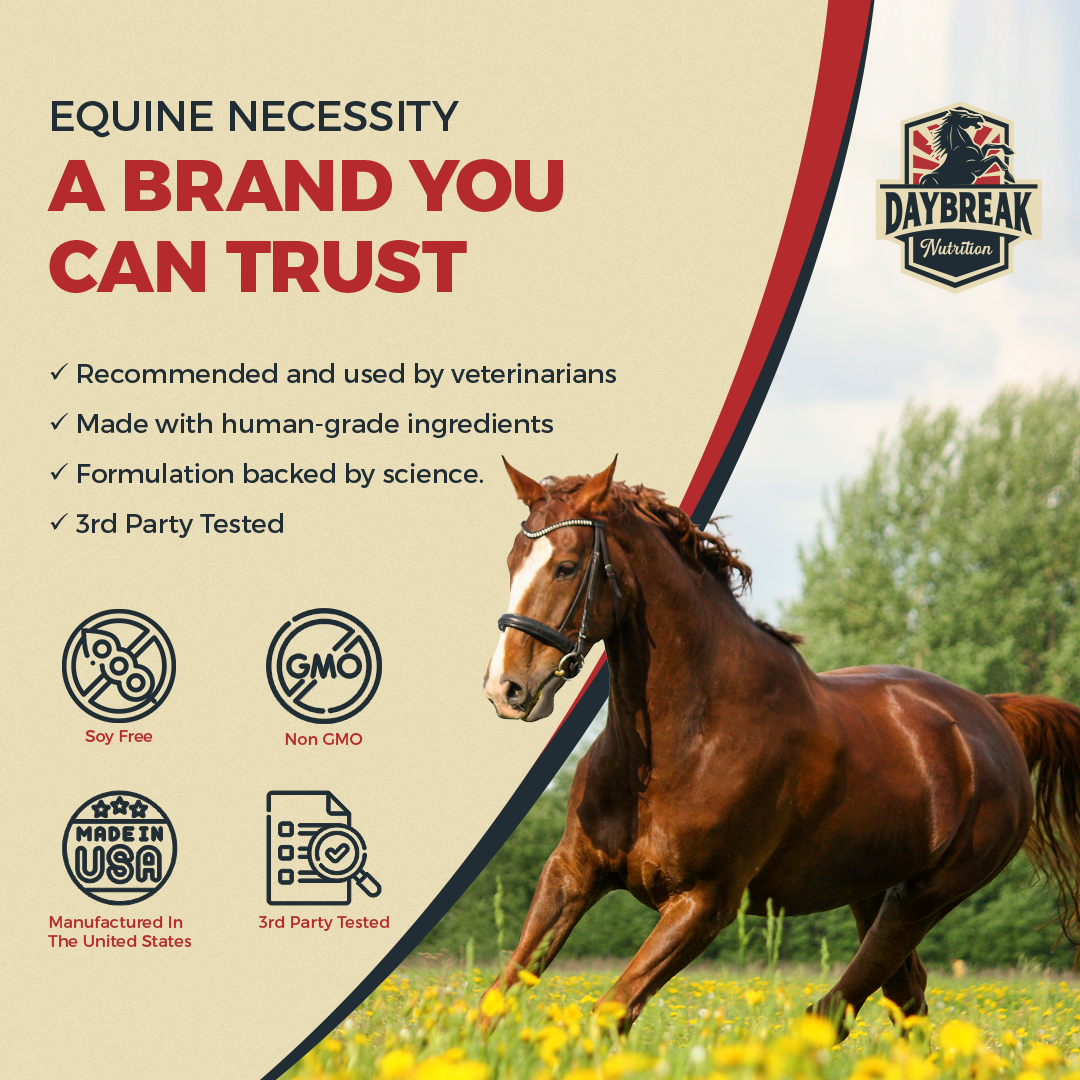 Maximum Strength Joint Supplement for Horses