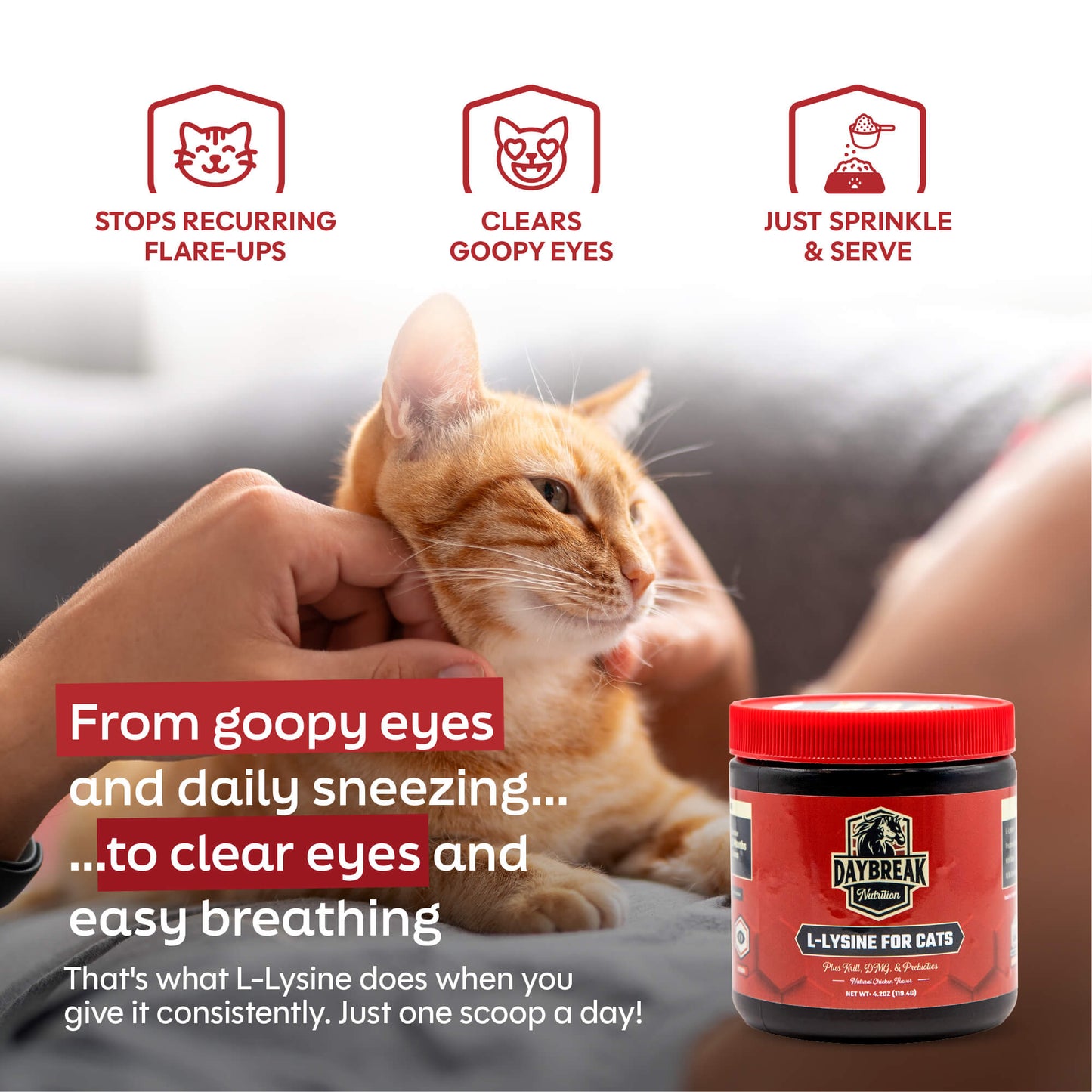 L-Lysine for Cats