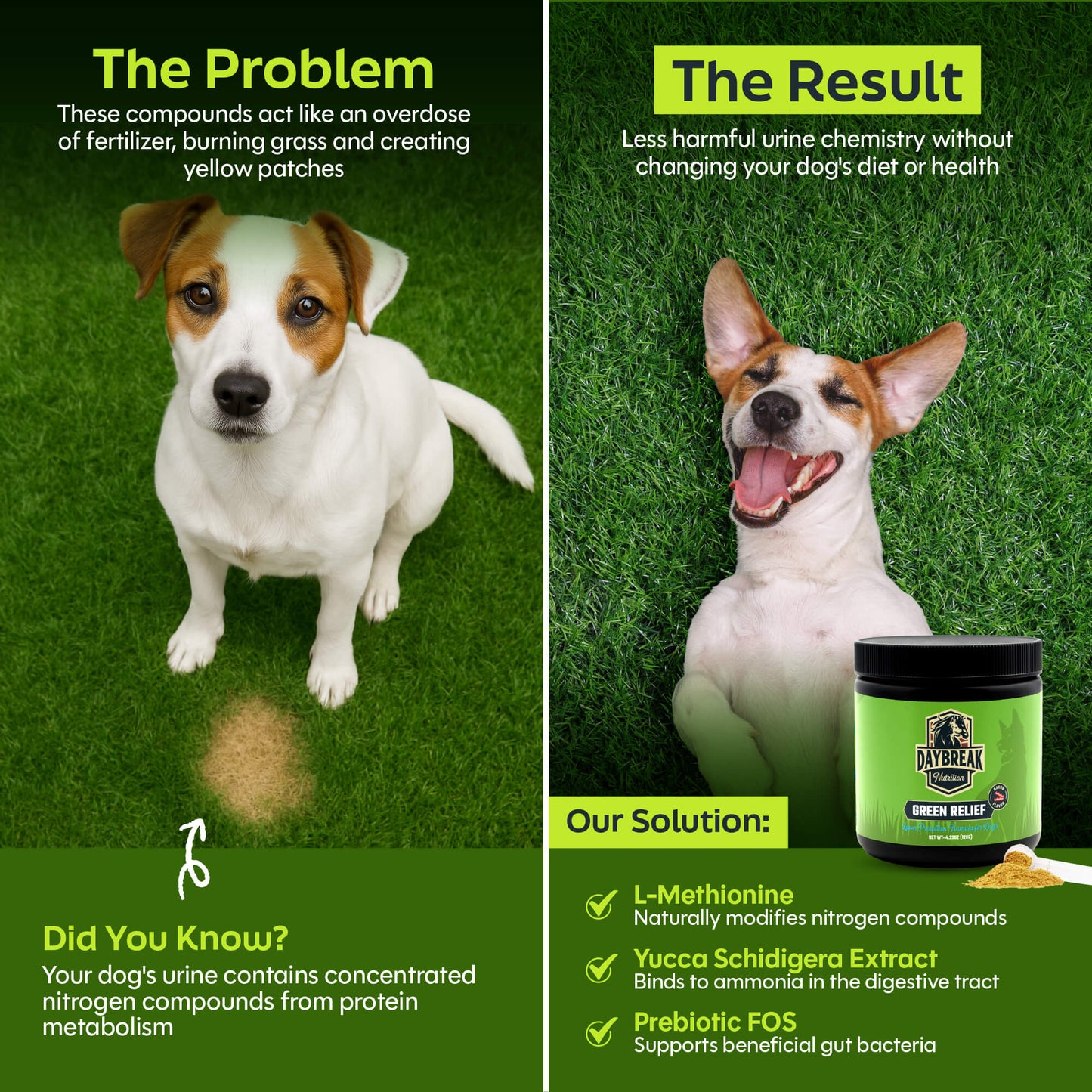 Green Relief Dog Urine Neutralizer for Lawn