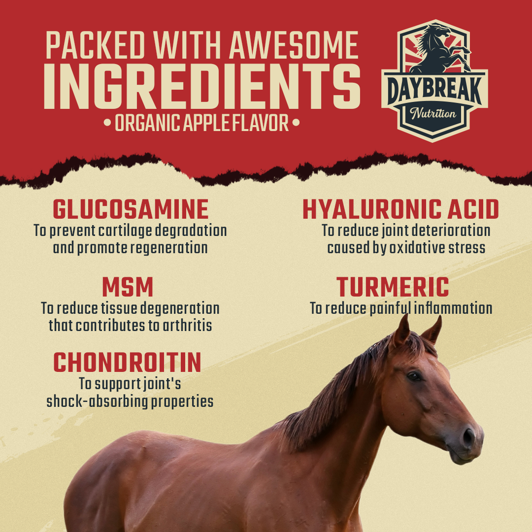 Maximum Strength Joint Supplement for Horses