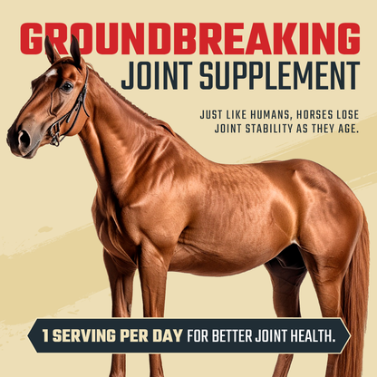 Maximum Strength Joint Supplement for Horses