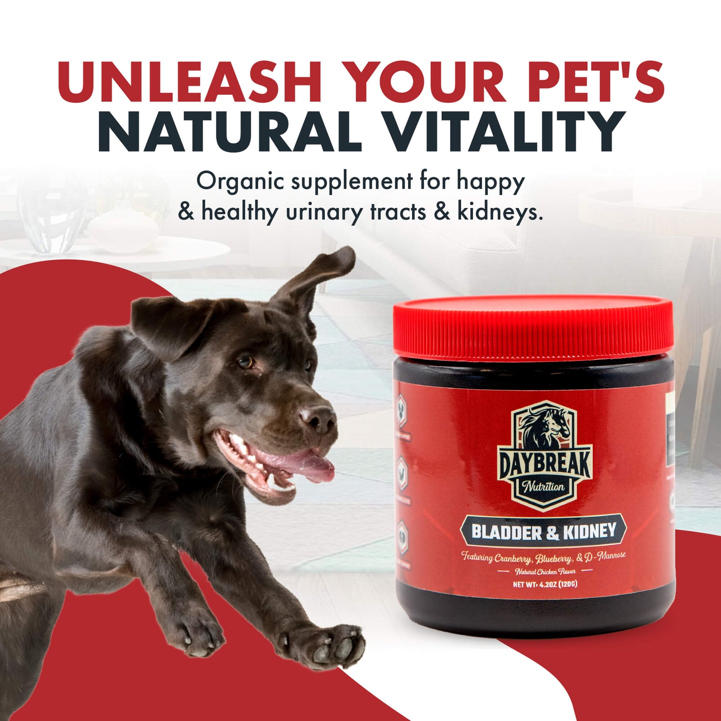 Bladder and Kidney Relief for Dogs
