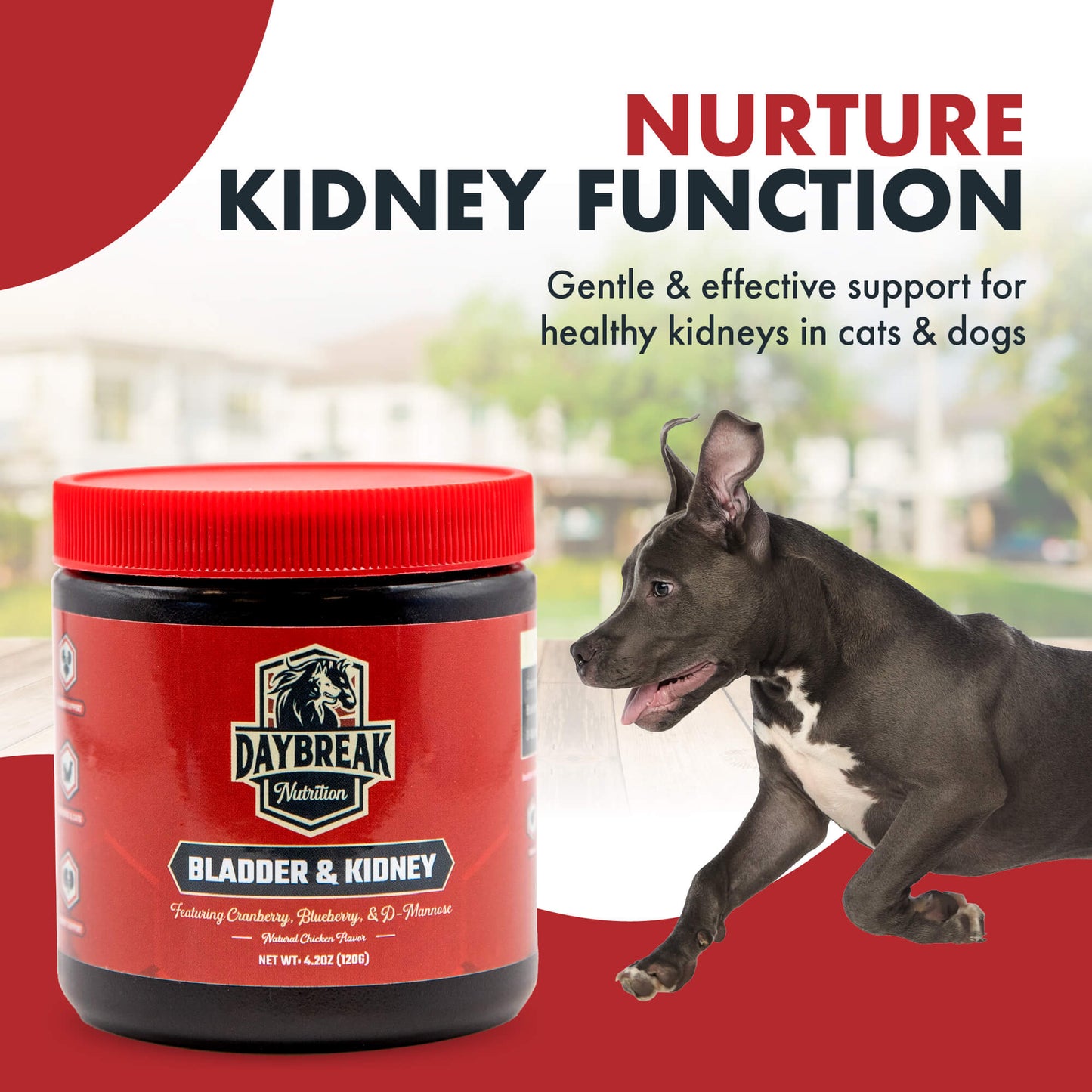Bladder and Kidney Relief for Dogs
