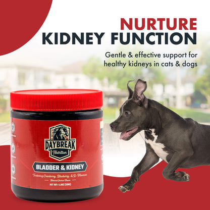 Bladder and Kidney Relief for Dogs