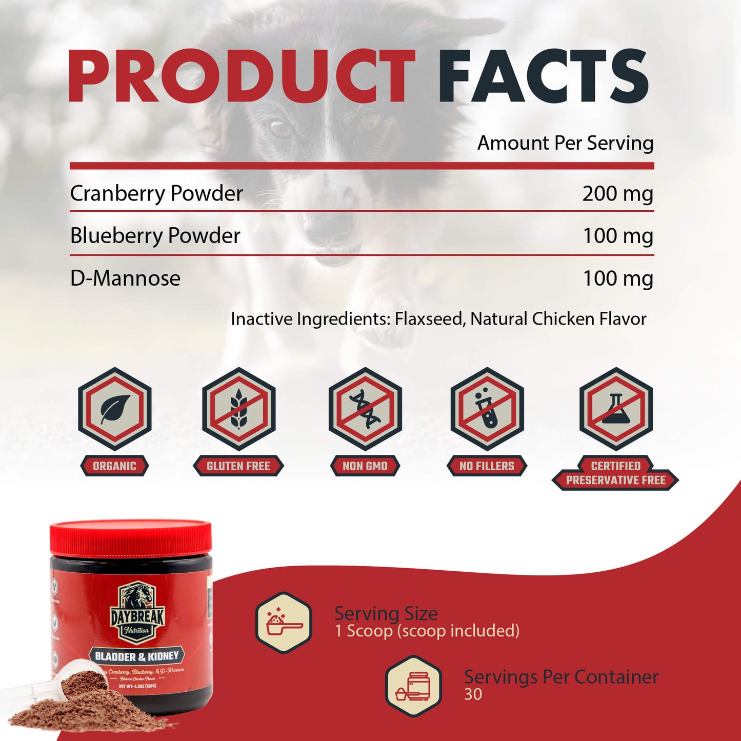 Bladder and Kidney Relief for Dogs