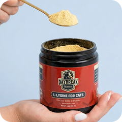 L-Lysine — 900mg per scoop