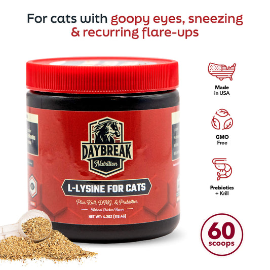 L-Lysine for Cats