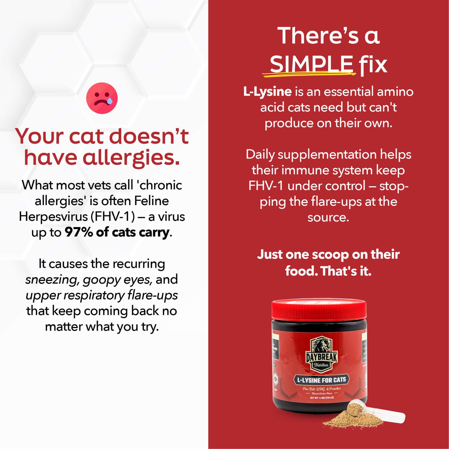 L-Lysine for Cats