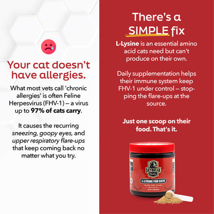 L-Lysine for Cats