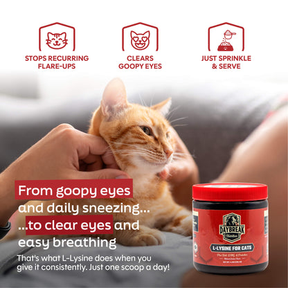 L-Lysine for Cats