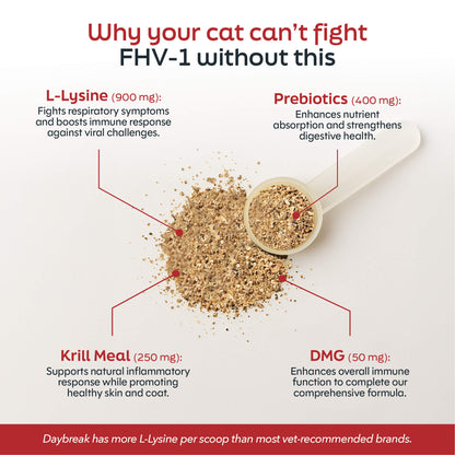 L-Lysine for Cats