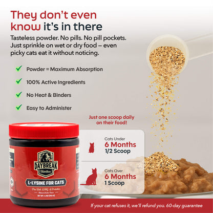 L-Lysine for Cats