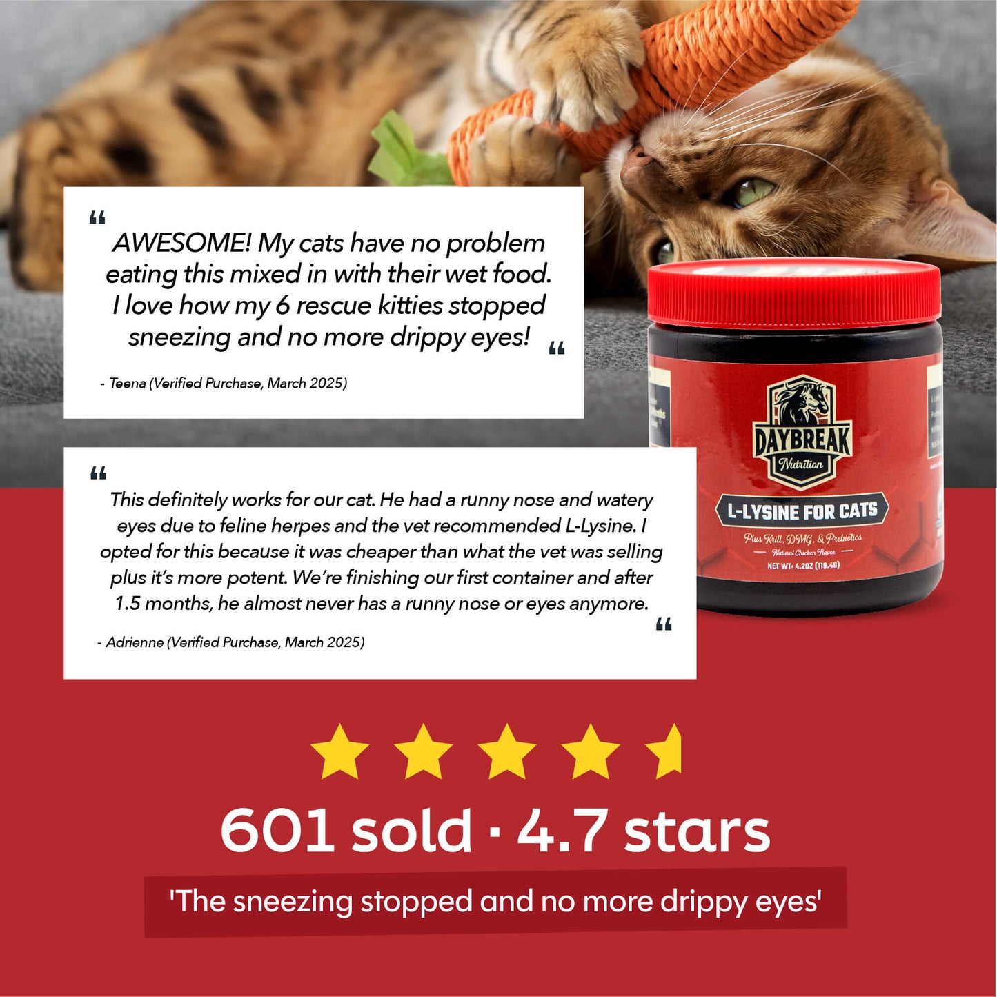 L-Lysine for Cats