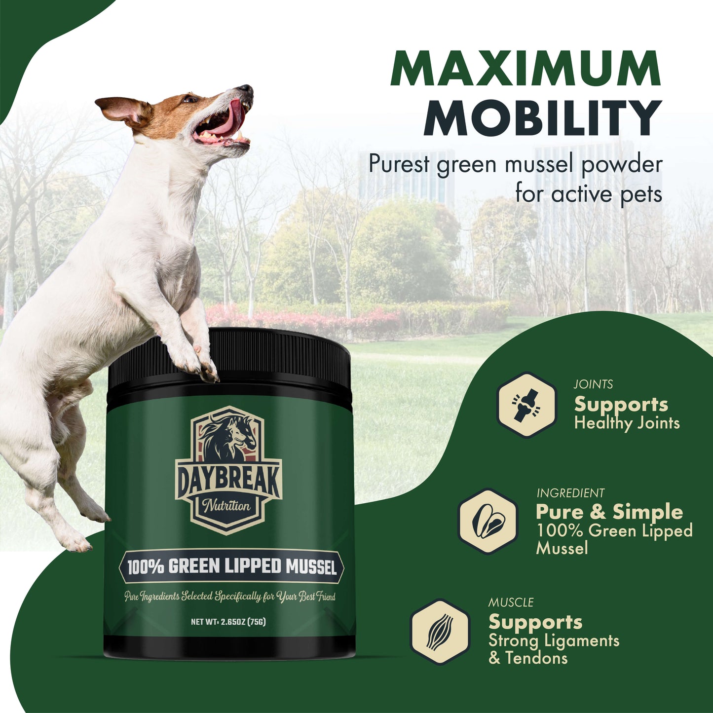 Green Lipped Mussel Powder for Pets