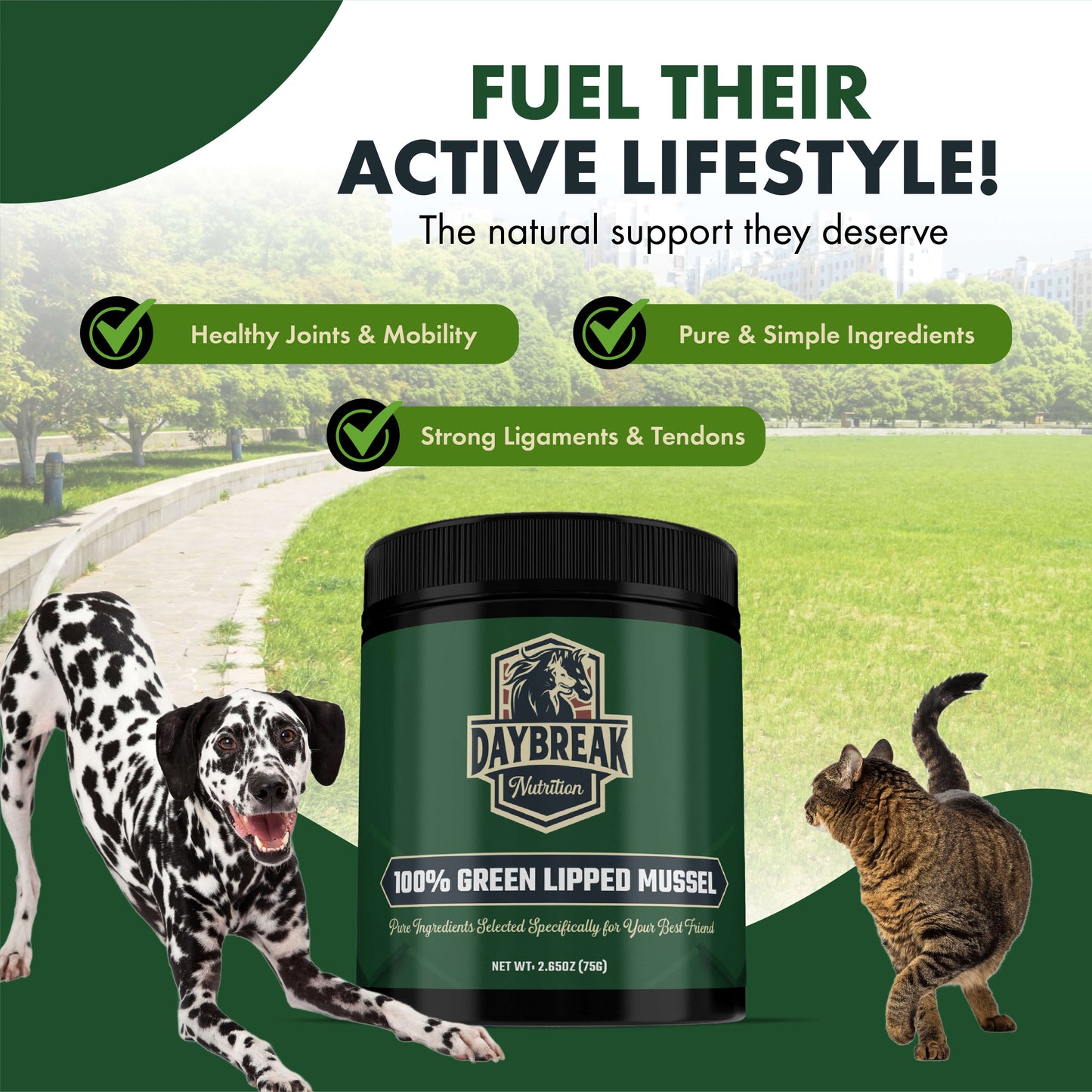 Green Lipped Mussel Powder for Pets