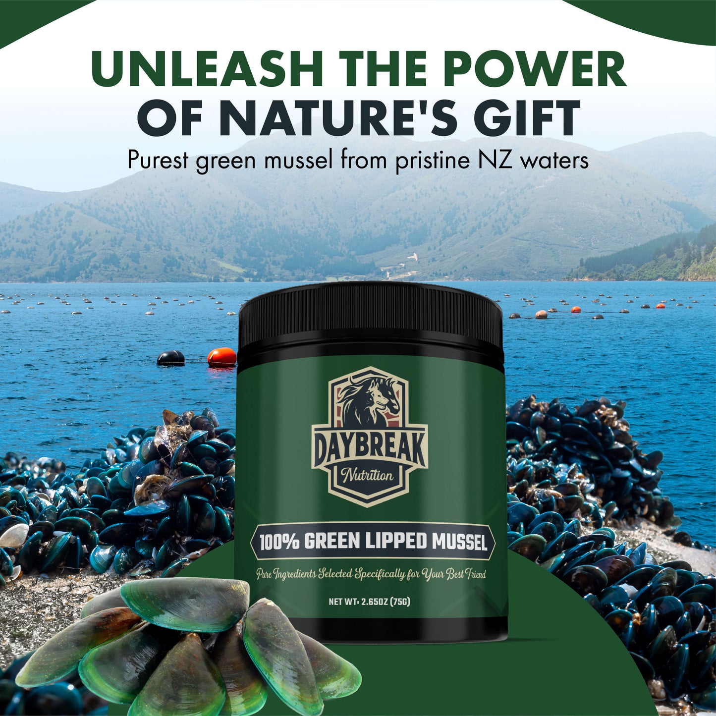 Green Lipped Mussel Powder for Pets