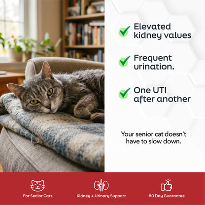 Renew - Kidney & Urinary Support For Cats