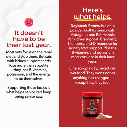 Renew - Kidney & Urinary Support For Cats