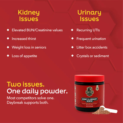 Renew - Kidney & Urinary Support For Cats