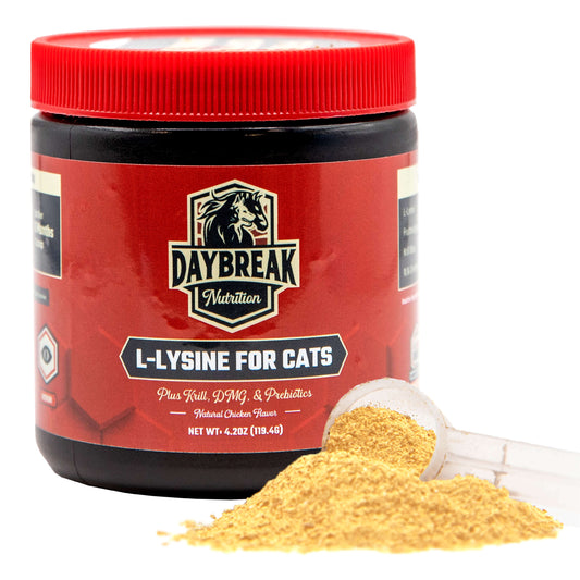 L-Lysine for Cats