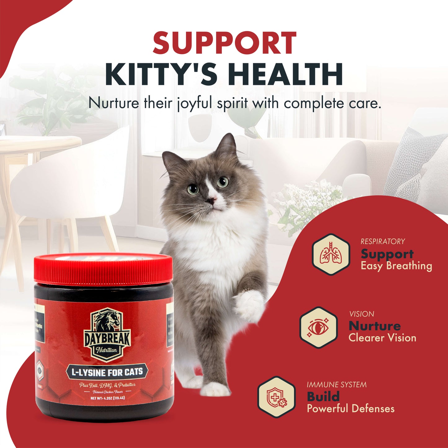 L-Lysine for Cats