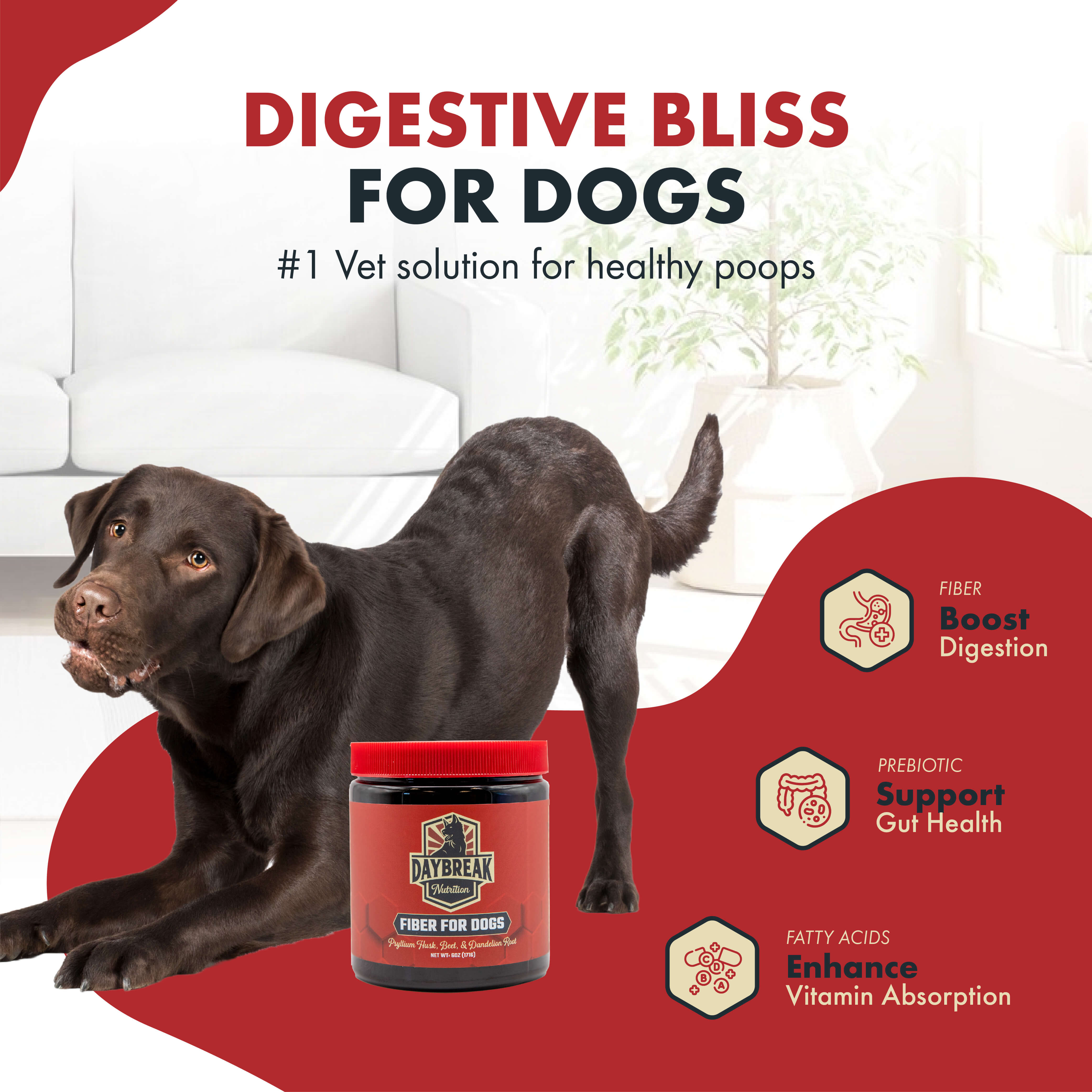 Fiber for Dogs by Daybreak Nutrition Psyllium Husk Beet Root Dandelion Root and More