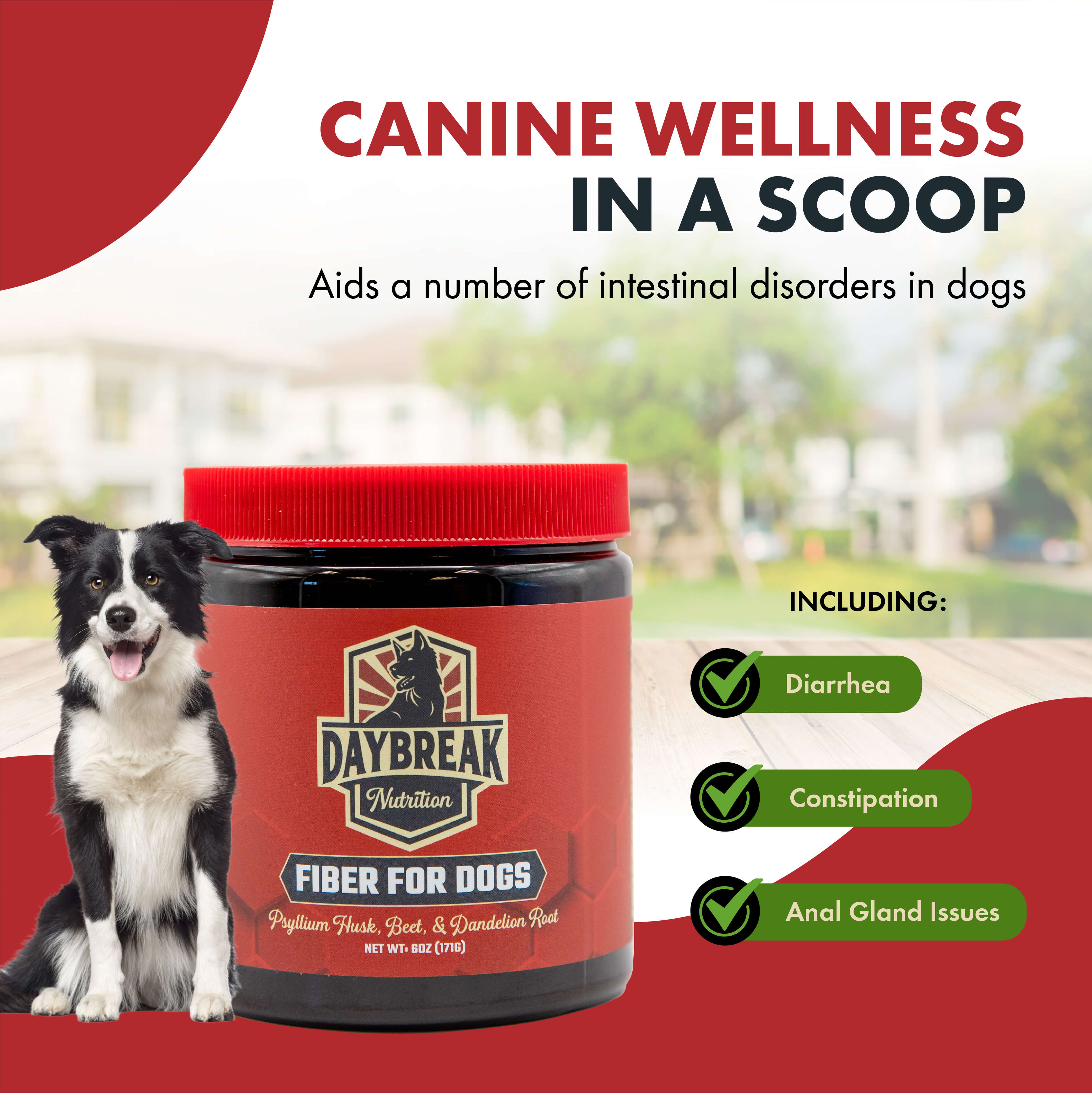 Psyllium fiber for dogs best sale