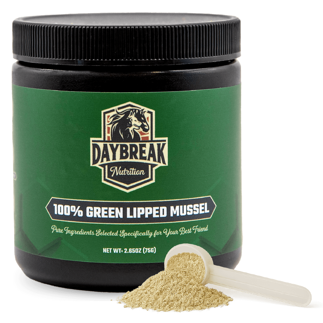 Green Lipped Mussel Powder for Pets