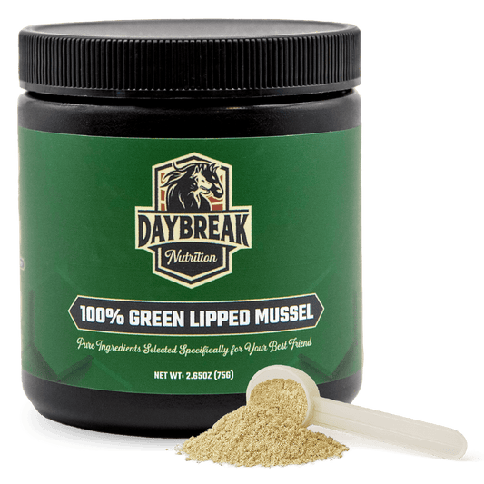Green Lipped Mussel Powder for Pets
