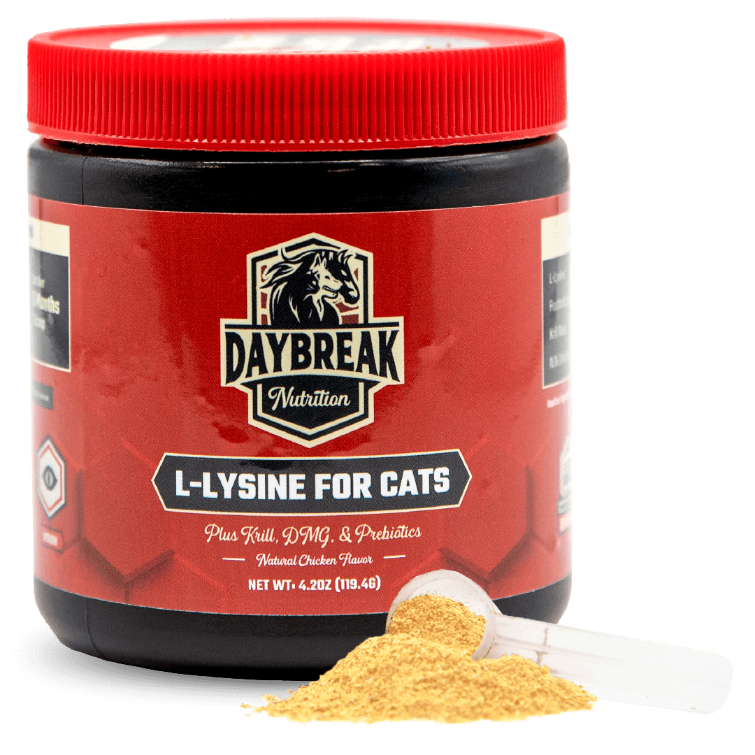 L-Lysine for Cats