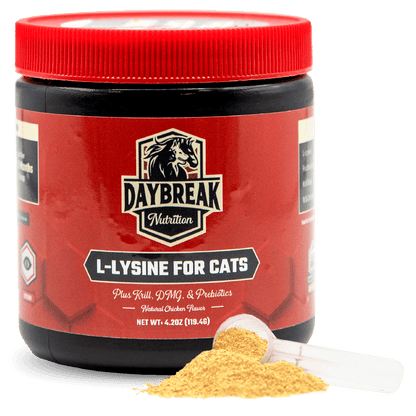 L-Lysine for Cats