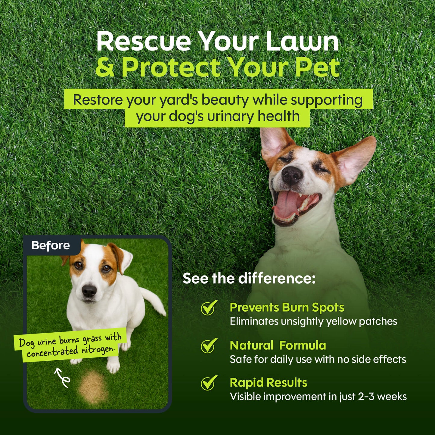Green Relief Dog Urine Neutralizer for Lawn