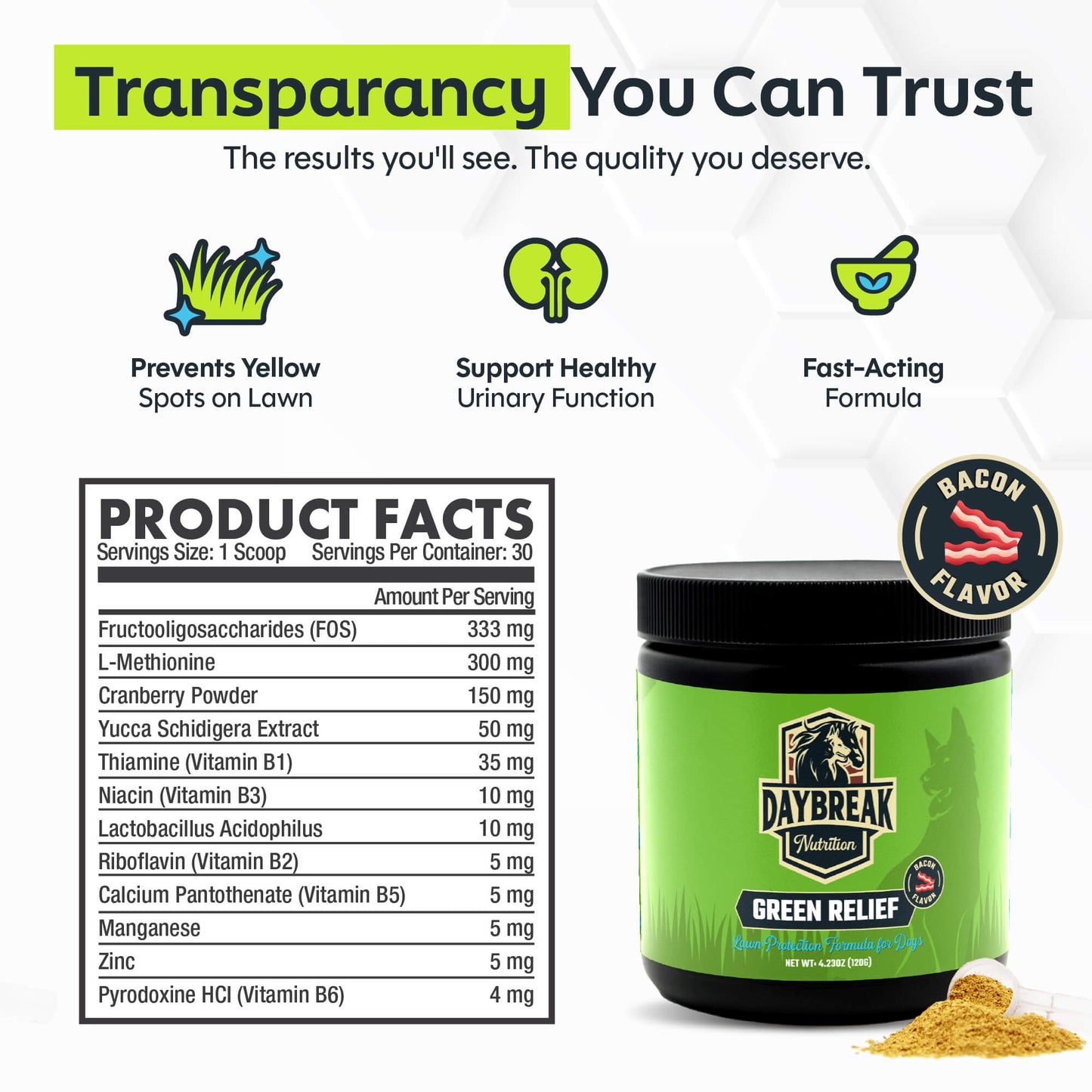 Green Relief Dog Urine Neutralizer for Lawn