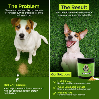 Green Relief Dog Urine Neutralizer for Lawn