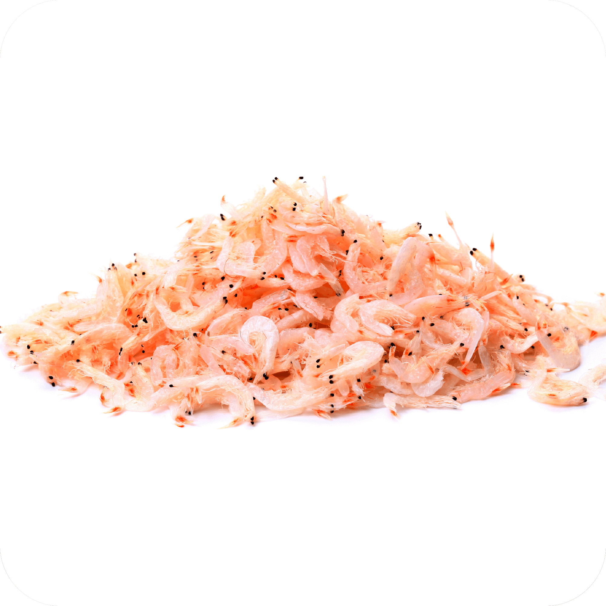 files/Krill_1.png