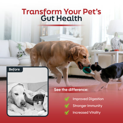 Probiotics for Cats & Dogs