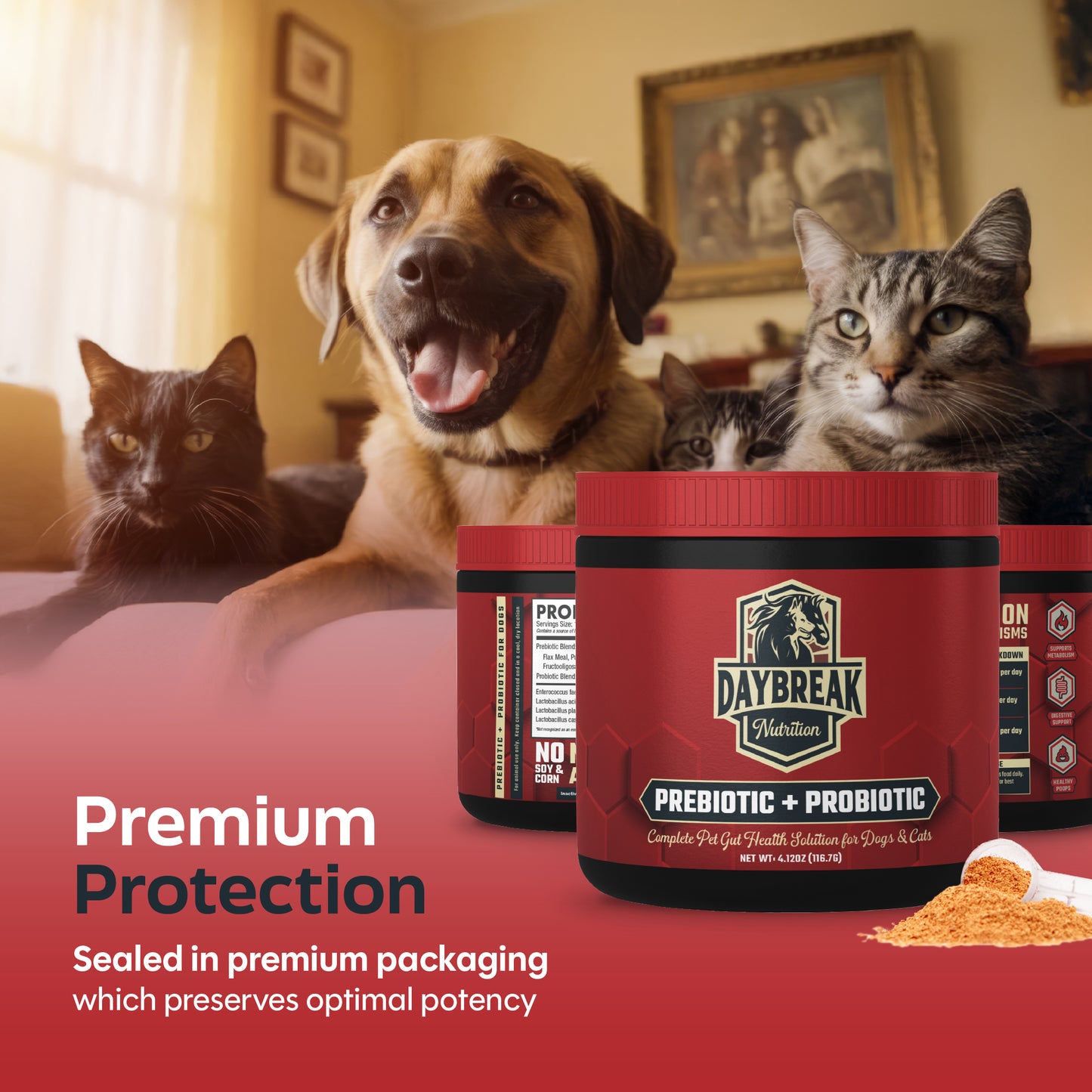 Probiotics for Cats & Dogs