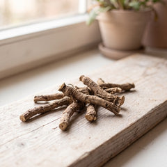 Dandelion root