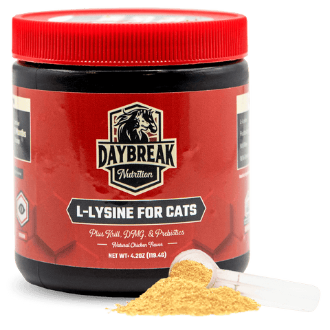 L-Lysine for Cats — Single Jar, 60 Servings